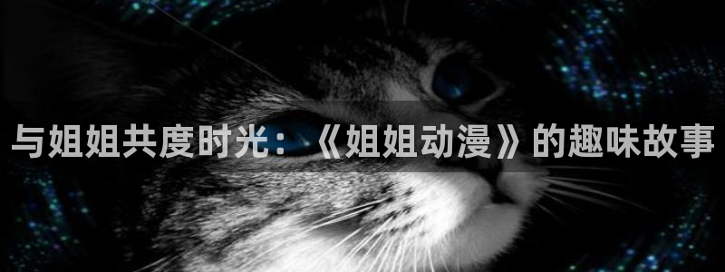 风车动漫,：与姐姐共度时光：《姐姐动漫》的趣味故事