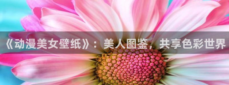 风车动漫最新动漫在线观看：《动漫美女壁纸》：美人图鉴，共享色彩世界