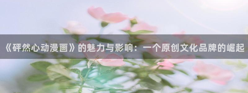 风车动漫专注