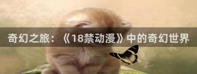 风车动漫有哪些