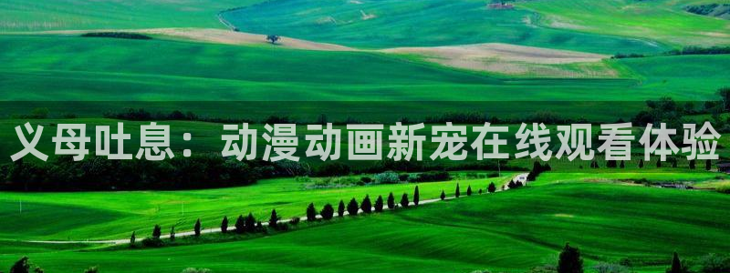 风车动漫进击的巨人