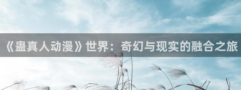 风车动漫那