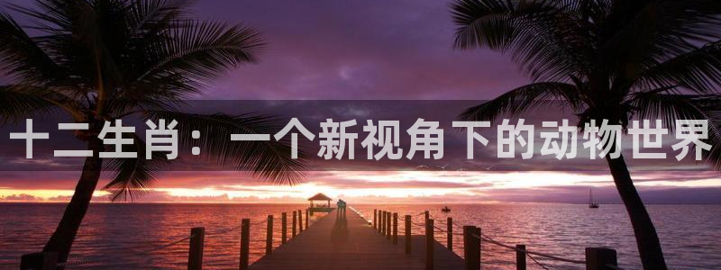 风车动漫免费观看动漫