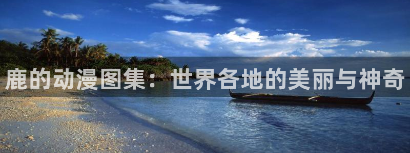 风车动漫(p)_专注动漫的更新时间