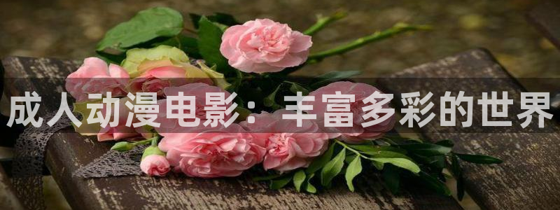 风车动漫和樱花动漫