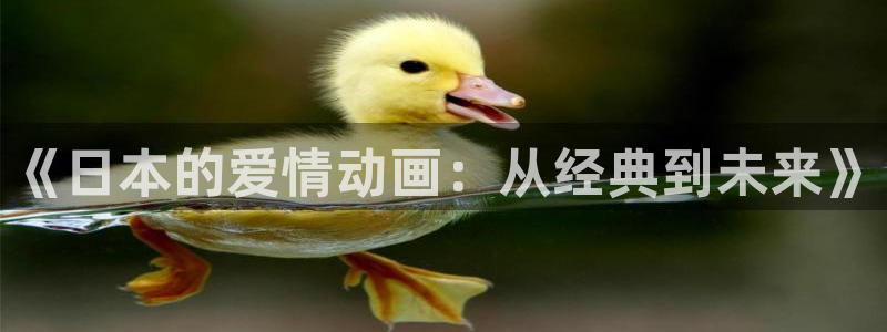 风车动漫dm530p专注动漫的门户
