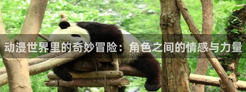 风车动漫专注于动漫的门户