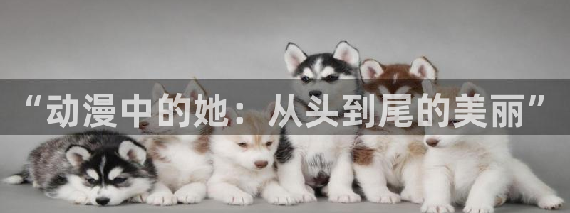 迪迦奥特曼风车动漫