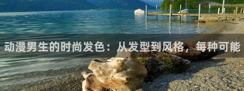 风车动漫免费网站