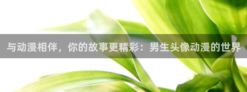 风车动漫p无职转生