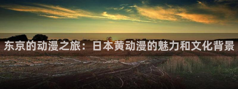 下载一个风车动漫：东京的动漫之旅：日本黄动漫的魅力和文化背景