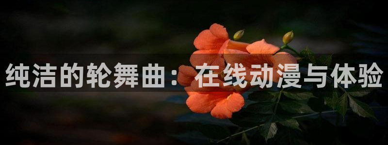 intitle:风车动漫：纯洁的轮舞曲：在线动漫与体验