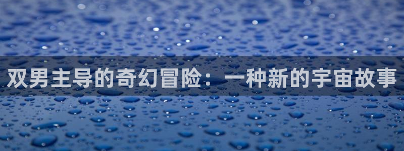 风车动漫-免费专注动漫：双男主导的奇幻冒险：一种新的宇宙故事