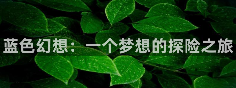 天使的3p风车动漫