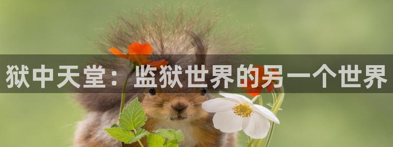 风车动漫3