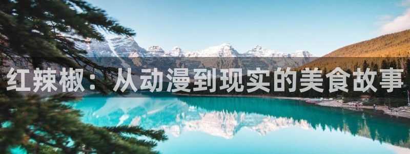 风车动漫网页