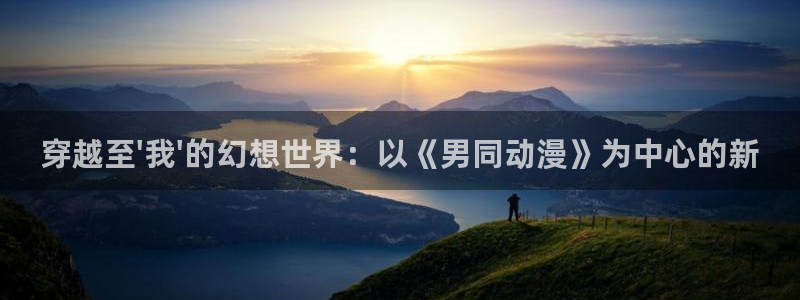 风车动漫dm530手机版专