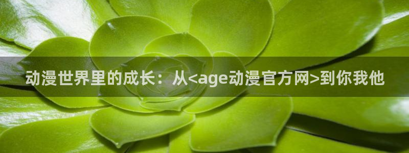风车动漫库