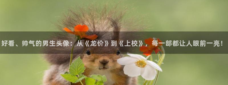少年女仆库洛风车动漫