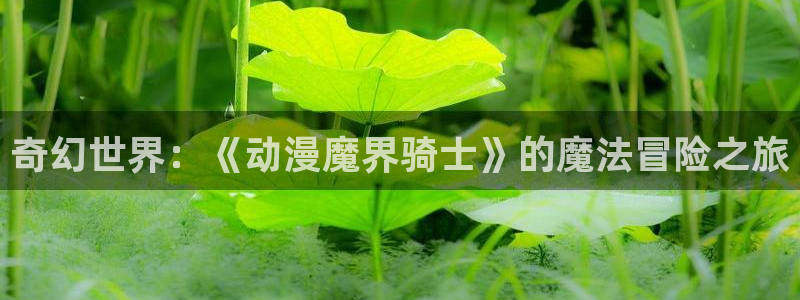 风车动漫(p)免费官网