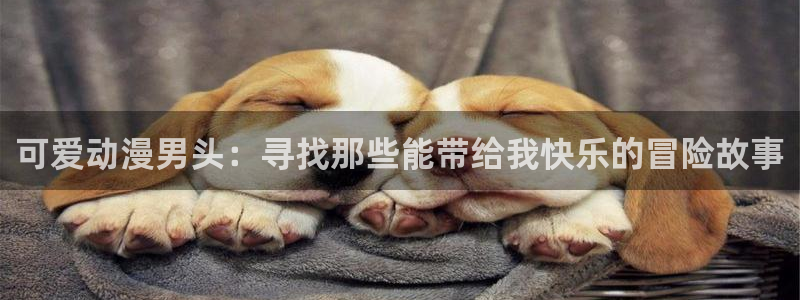 风车动漫(p)_专注动漫的门户官方网站动