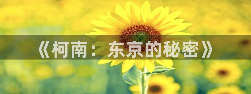 妻中蜜风车动漫：《柯南：东京的秘密》