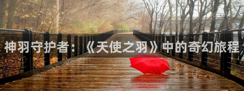 风车动漫网站手机版下载：神羽守护者：《天使之羽》中的奇幻旅程