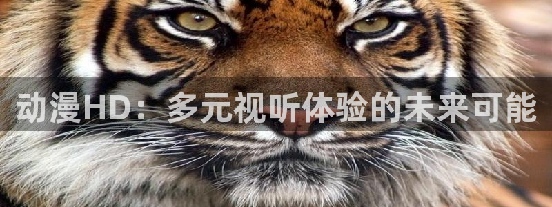 风车动漫里番动漫：动漫HD：多元视听体验的未来可能