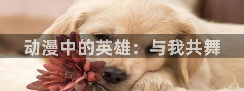 武装少女风车动漫：动漫中的英雄：与我共舞