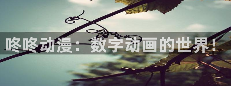 风车动漫在线看动漫：咚咚动漫：数字动画的世界！