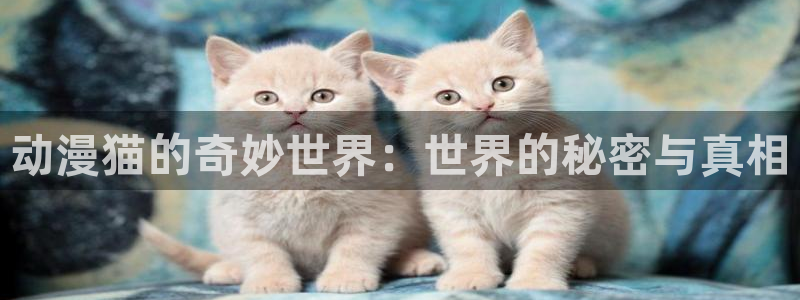 风车动漫看：动漫猫的奇妙世界：世界的秘密与真相