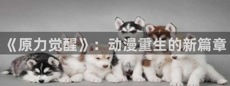 风车动漫w：《原力觉醒》：动漫重生的新篇章