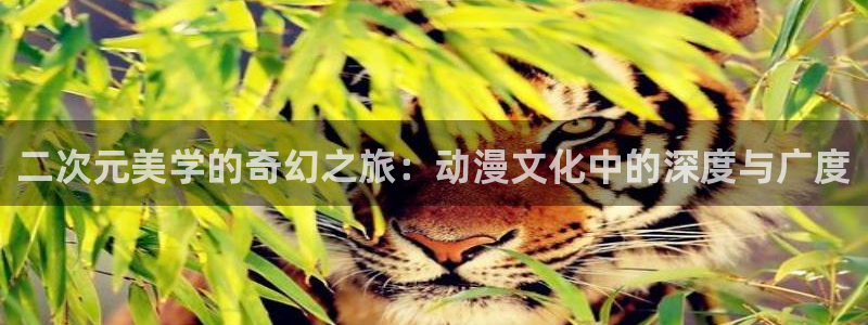 灌篮高手风车动漫：二次元美学的奇幻之旅：动漫文化中的深度与广度