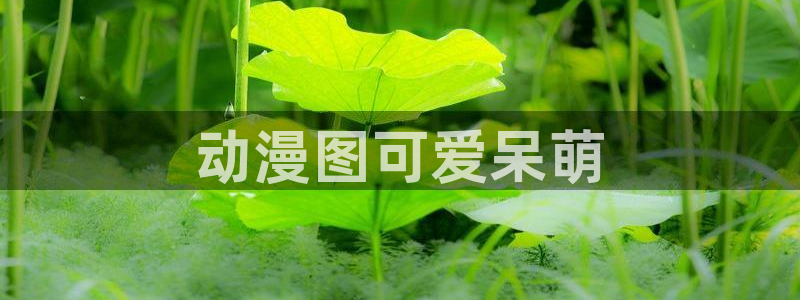 风车动漫布米米：动漫图可爱呆萌