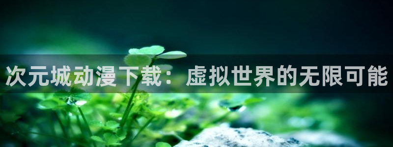 我开动物园那些年风车动漫：次元城动漫下载：虚拟世界的无限可能