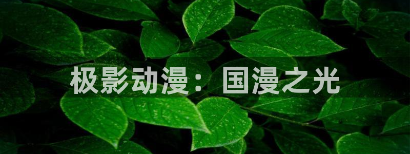 大王饶命风车动漫：极影动漫：国漫之光