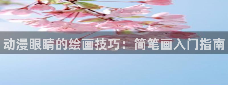 风车动漫1：动漫眼睛的绘画技巧：简笔画入门指南