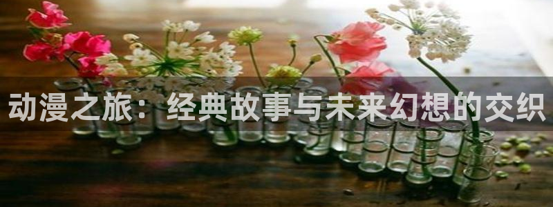 风车动漫(p)免费官网