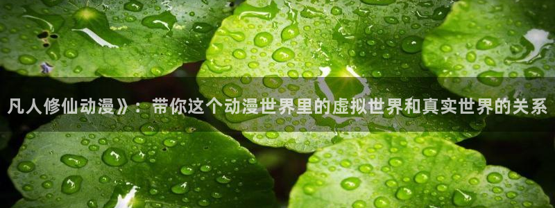 风车动漫在线高清