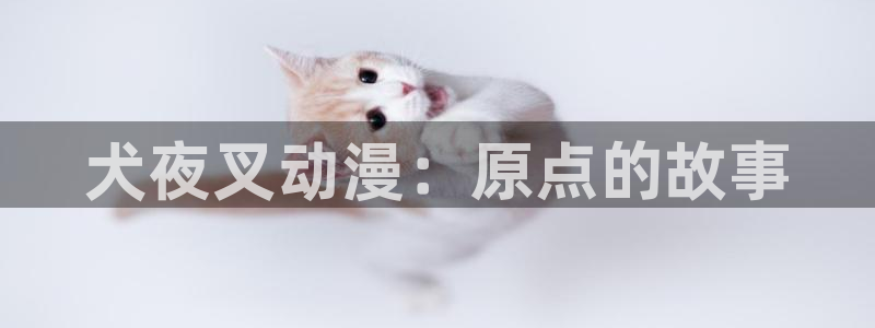 分风车动漫