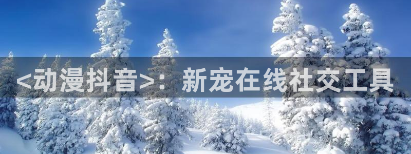 新风车动漫最新版