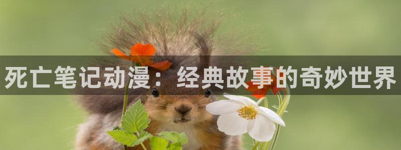 风车动漫专注动漫的网站专注动漫