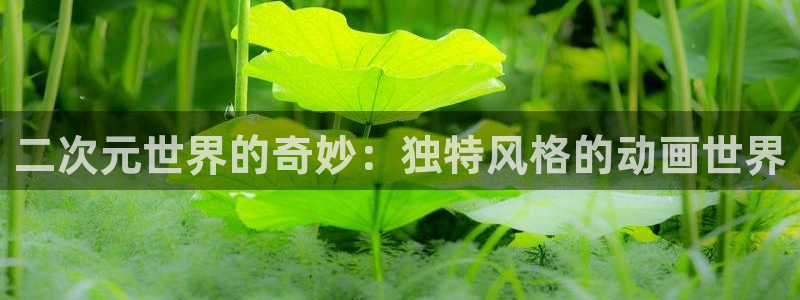 痴母在线观看风车动漫