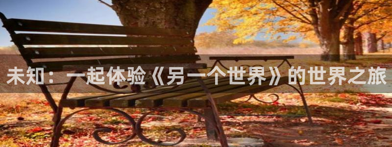 你的名字风车动漫