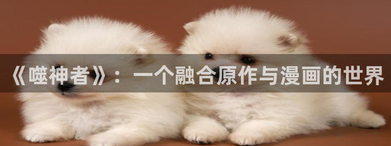 风车动漫d