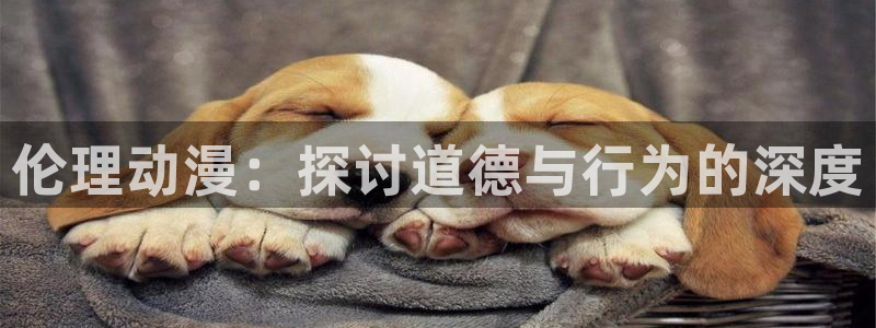 风车动漫布米米
