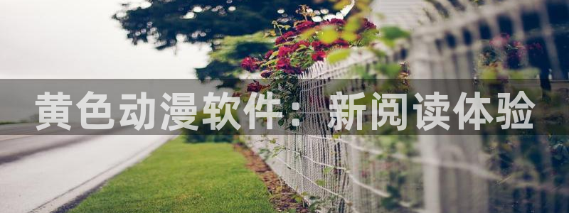 风车动漫n