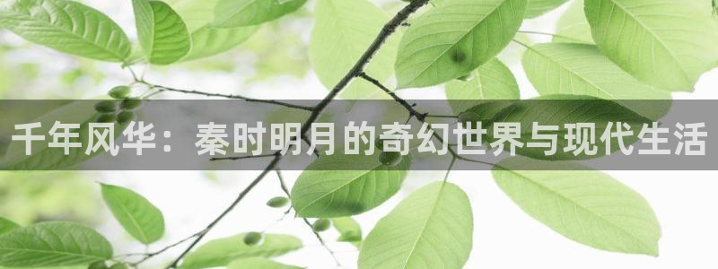 风车动漫风