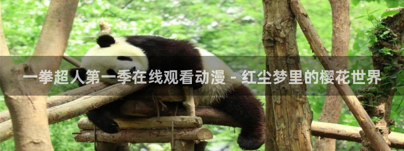 风车动漫在线免费看