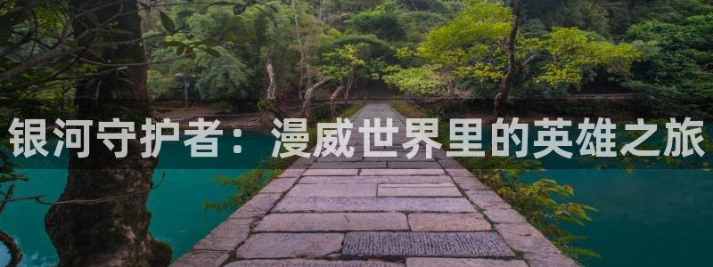 龙珠z风车动漫